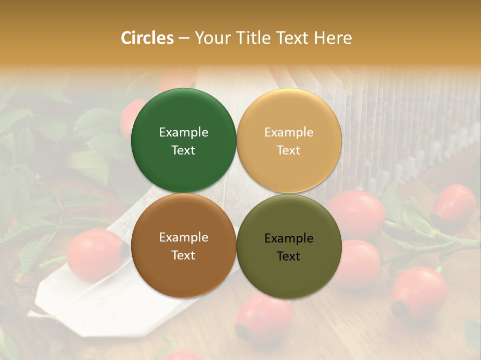 Heilpflanzen Hagebutte Entspannung PowerPoint Template
