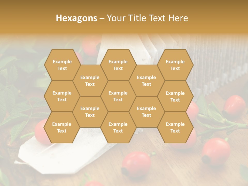 Heilpflanzen Hagebutte Entspannung PowerPoint Template