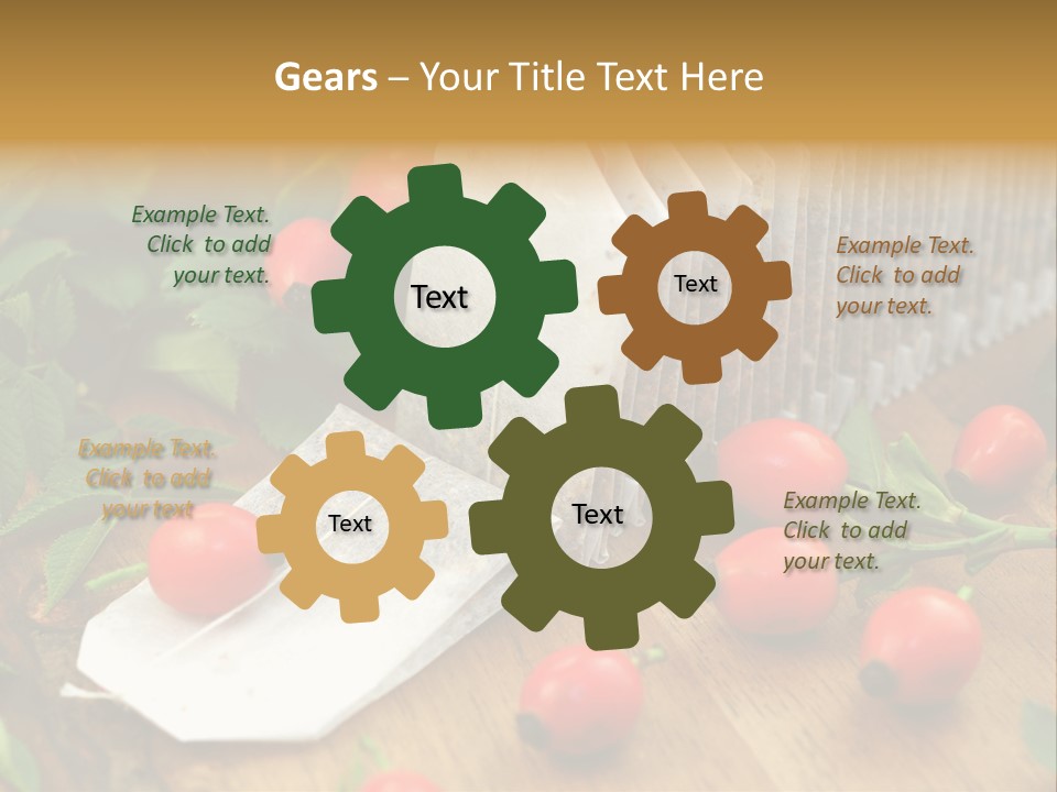 Heilpflanzen Hagebutte Entspannung PowerPoint Template