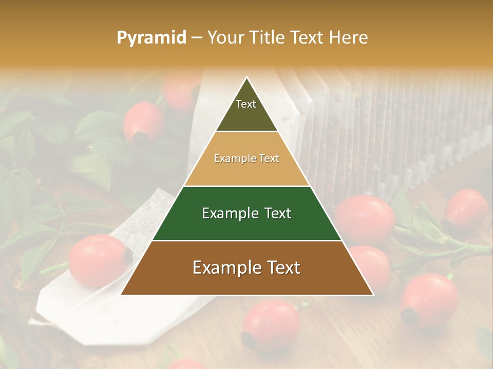 Heilpflanzen Hagebutte Entspannung PowerPoint Template