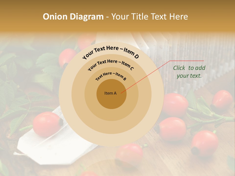 Heilpflanzen Hagebutte Entspannung PowerPoint Template