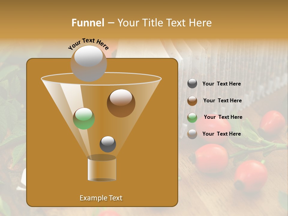 Heilpflanzen Hagebutte Entspannung PowerPoint Template