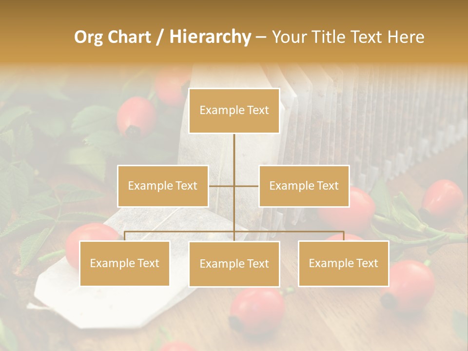 Heilpflanzen Hagebutte Entspannung PowerPoint Template