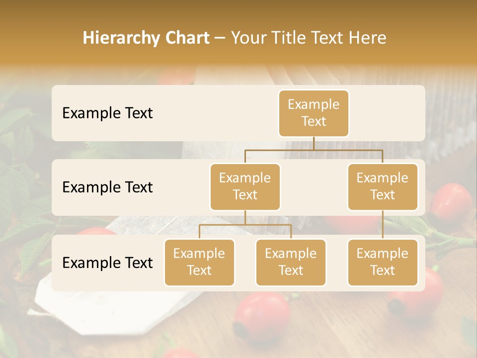 Heilpflanzen Hagebutte Entspannung PowerPoint Template