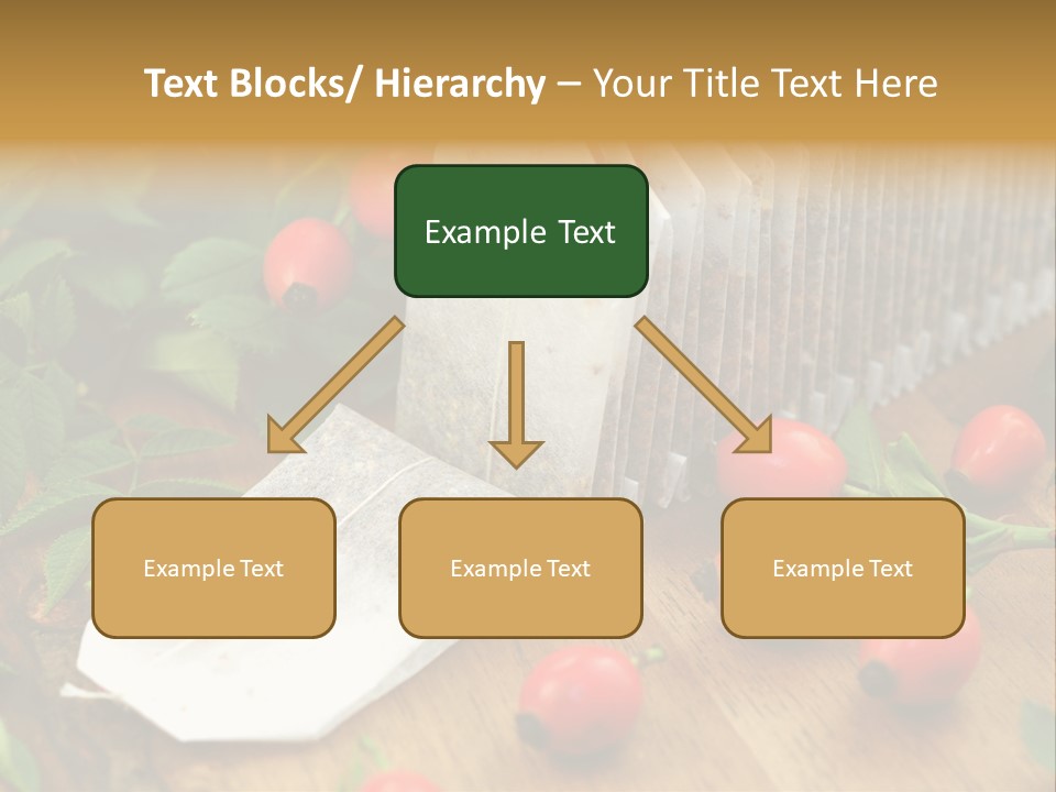 Heilpflanzen Hagebutte Entspannung PowerPoint Template