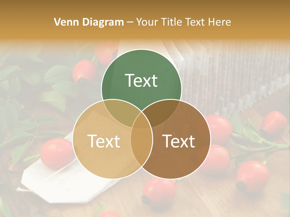 Heilpflanzen Hagebutte Entspannung PowerPoint Template