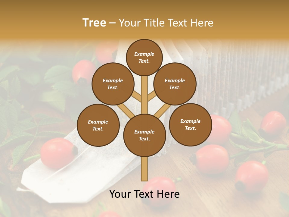 Heilpflanzen Hagebutte Entspannung PowerPoint Template