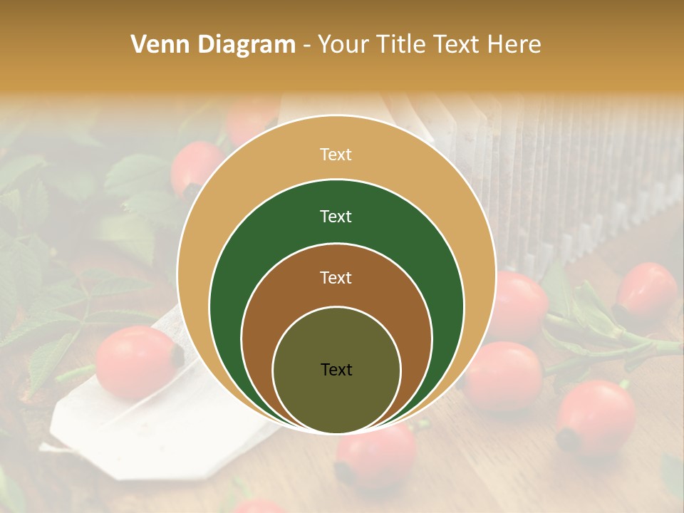 Heilpflanzen Hagebutte Entspannung PowerPoint Template