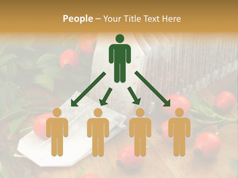 Heilpflanzen Hagebutte Entspannung PowerPoint Template