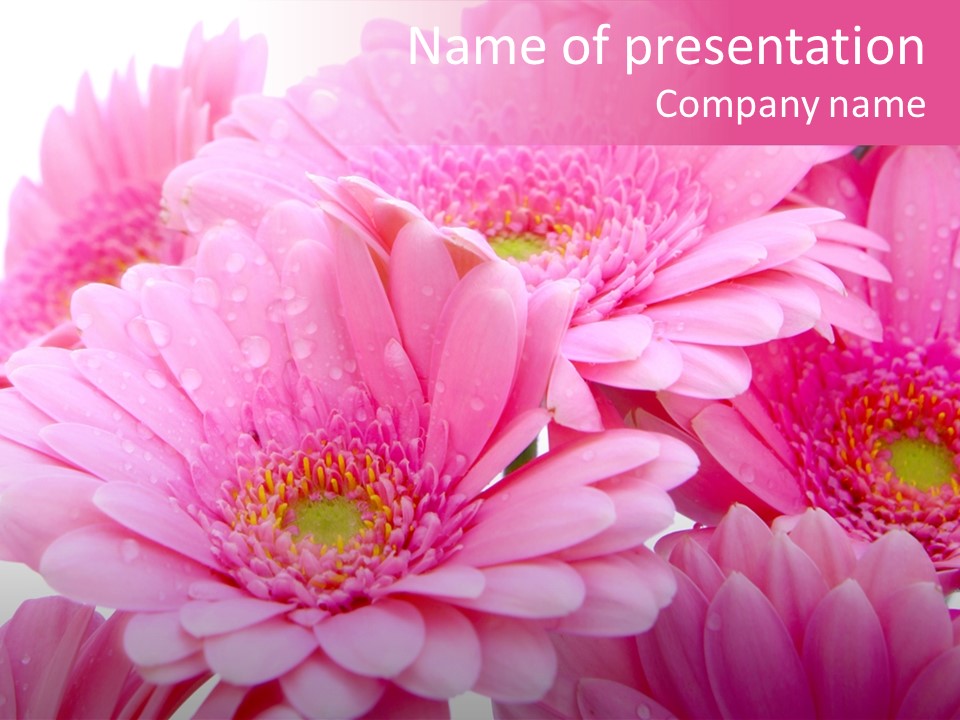 Muttertag Blumen Wei PowerPoint Template