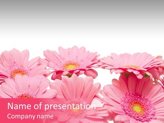 Frau Heirat Geschenke PowerPoint Template