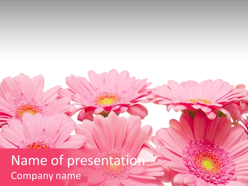 Frau Heirat Geschenke PowerPoint Template