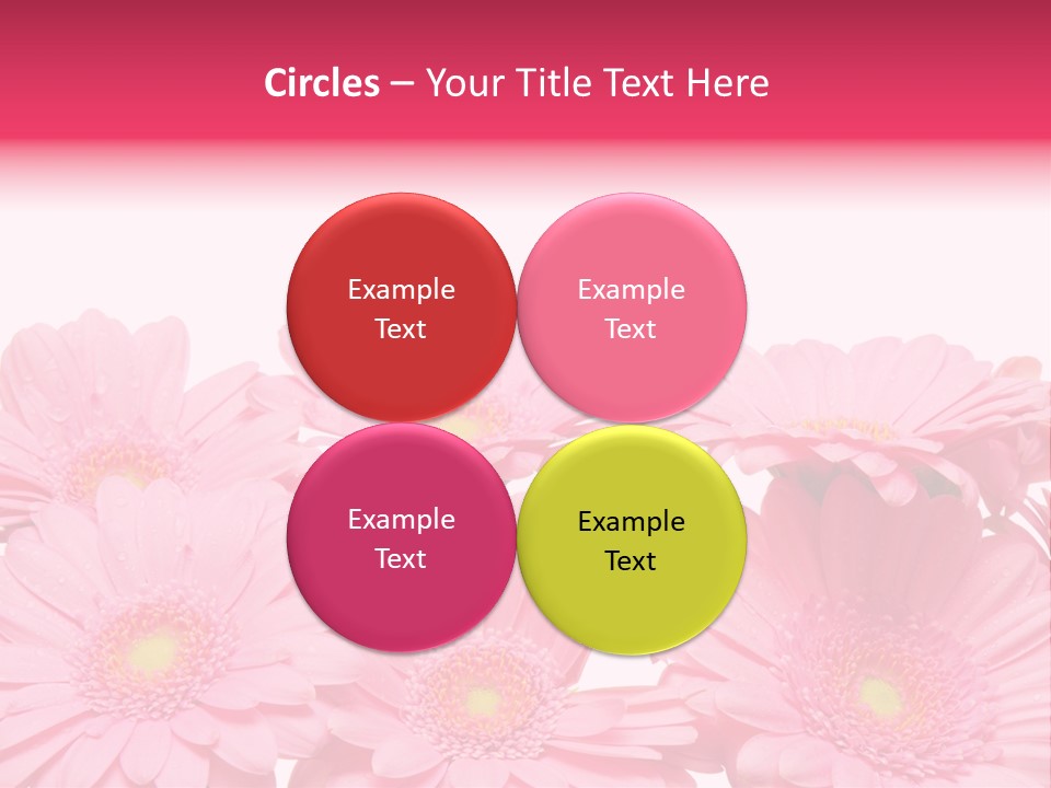 Frau Heirat Geschenke PowerPoint Template