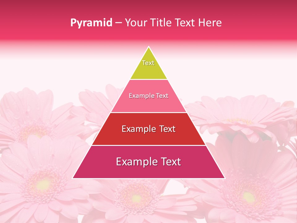 Frau Heirat Geschenke PowerPoint Template