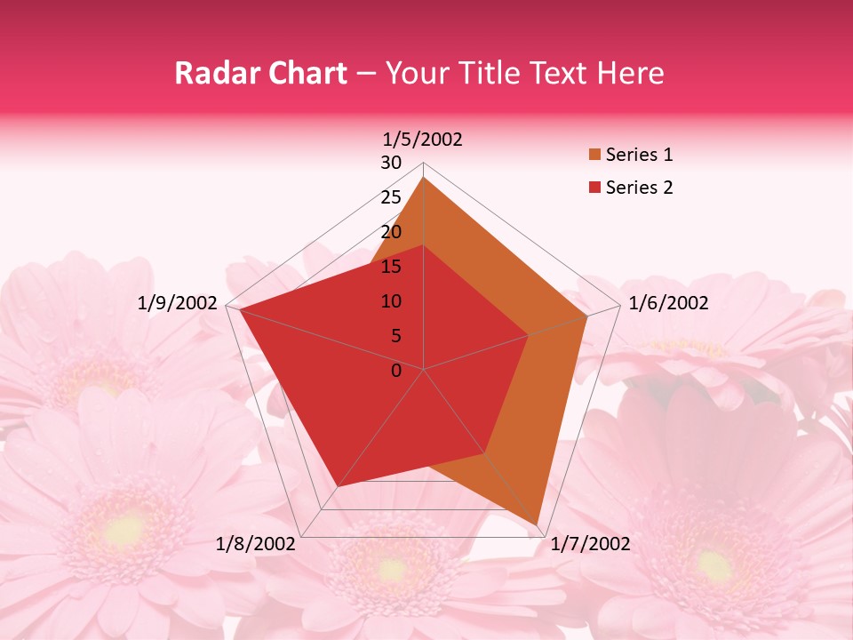 Frau Heirat Geschenke PowerPoint Template