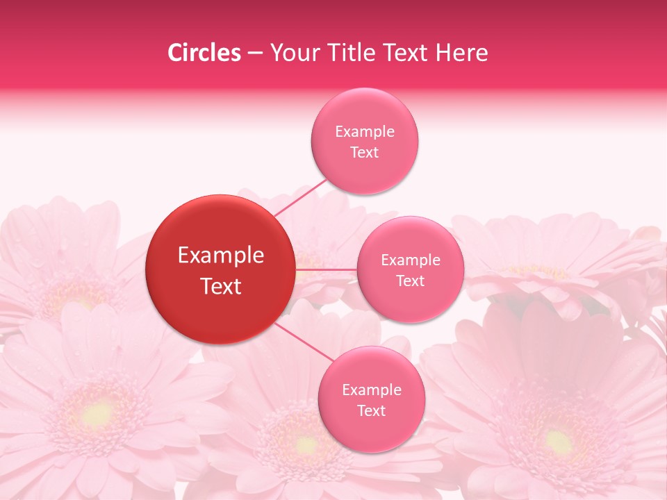 Frau Heirat Geschenke PowerPoint Template