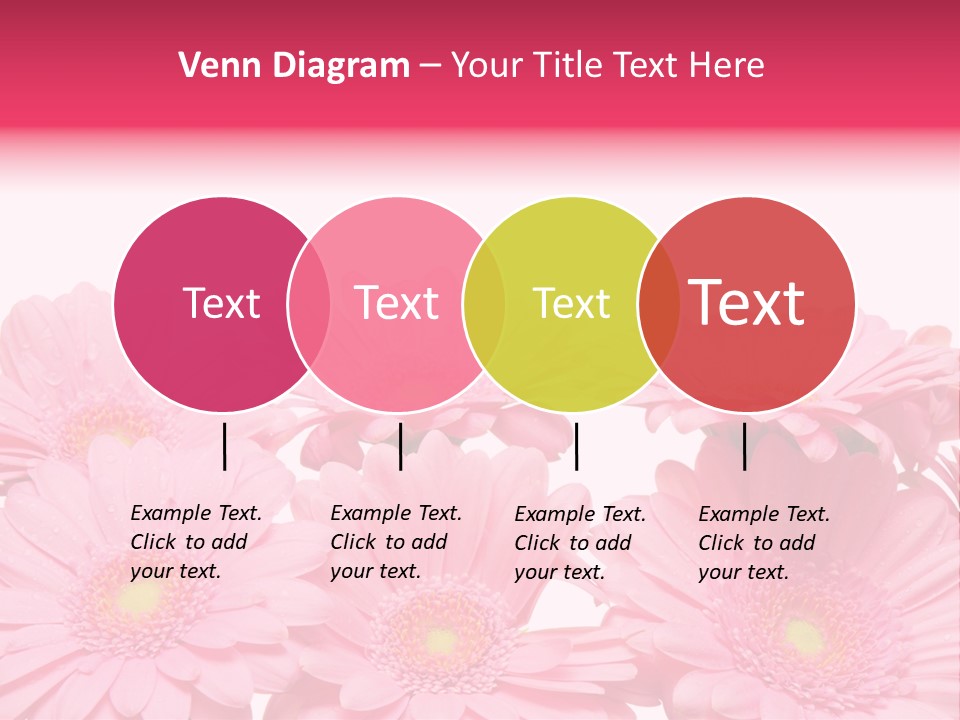 Frau Heirat Geschenke PowerPoint Template