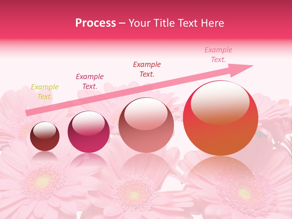 Frau Heirat Geschenke PowerPoint Template