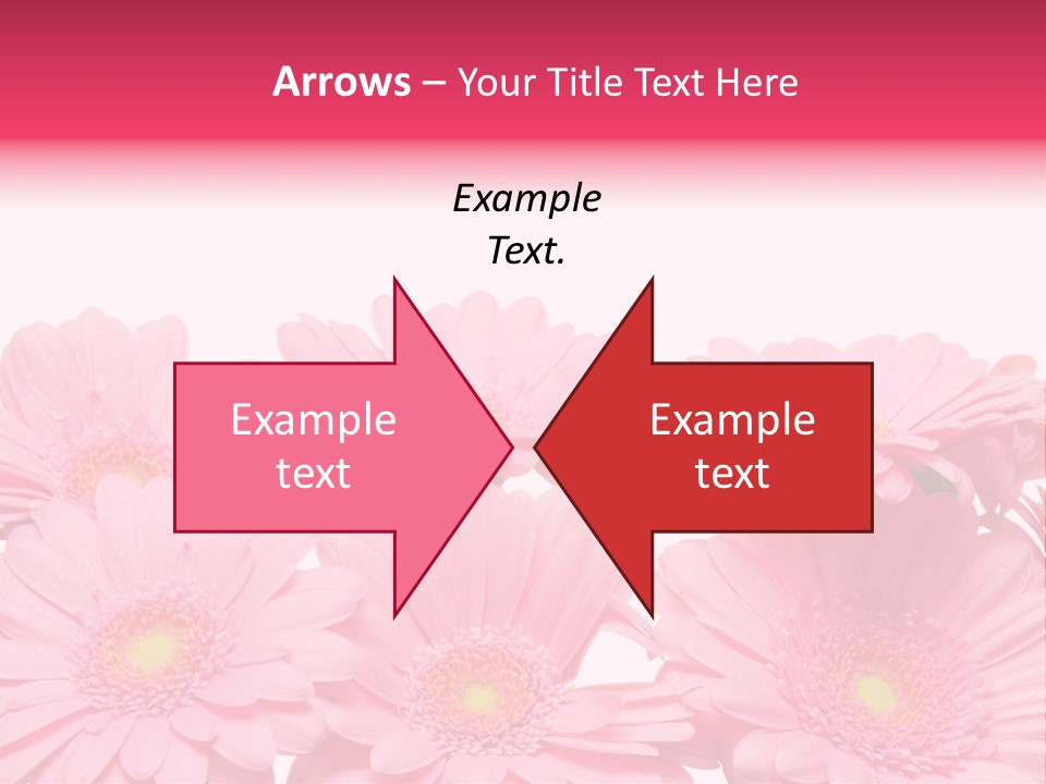 Frau Heirat Geschenke PowerPoint Template