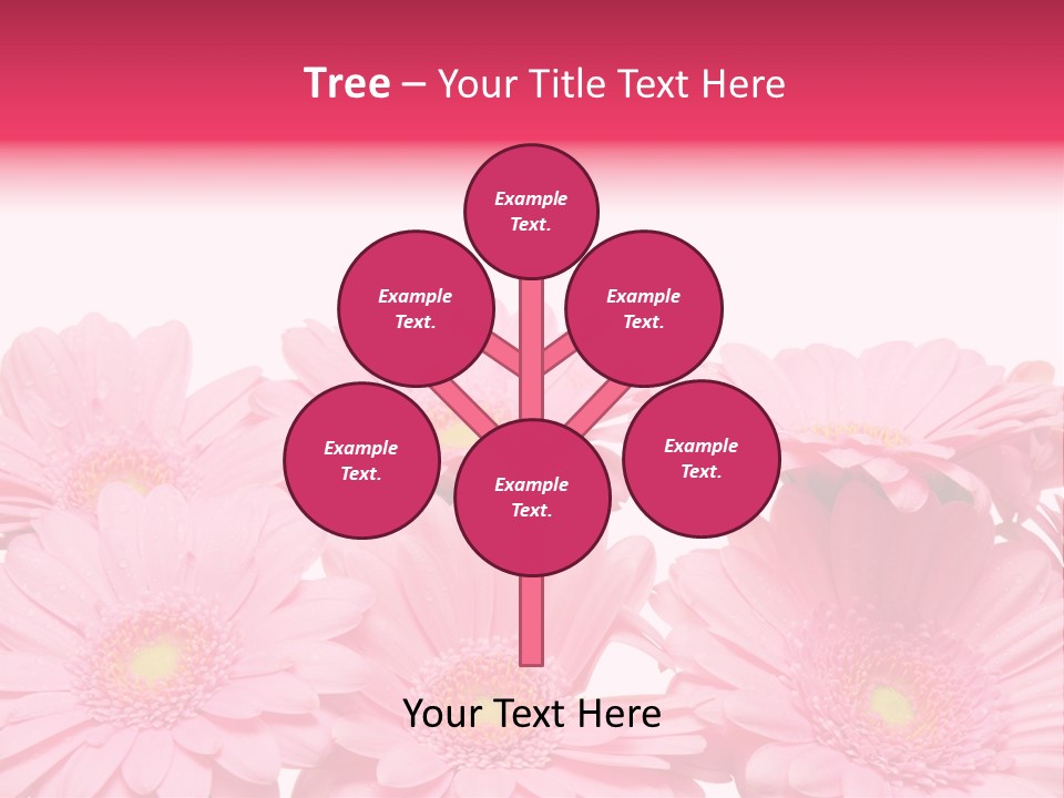 Frau Heirat Geschenke PowerPoint Template