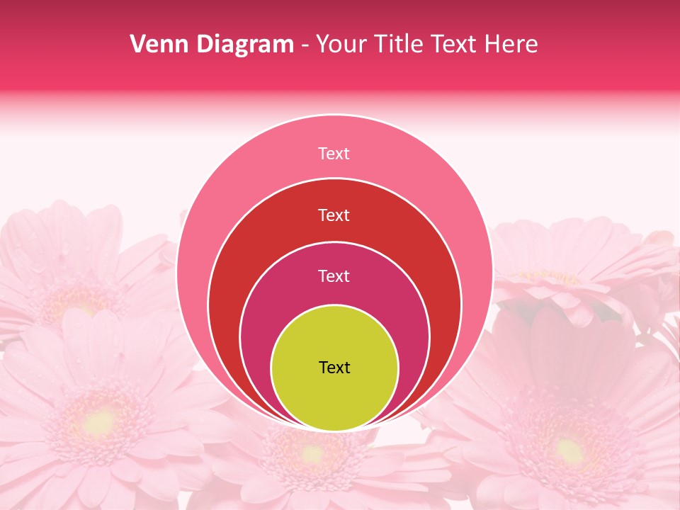 Frau Heirat Geschenke PowerPoint Template