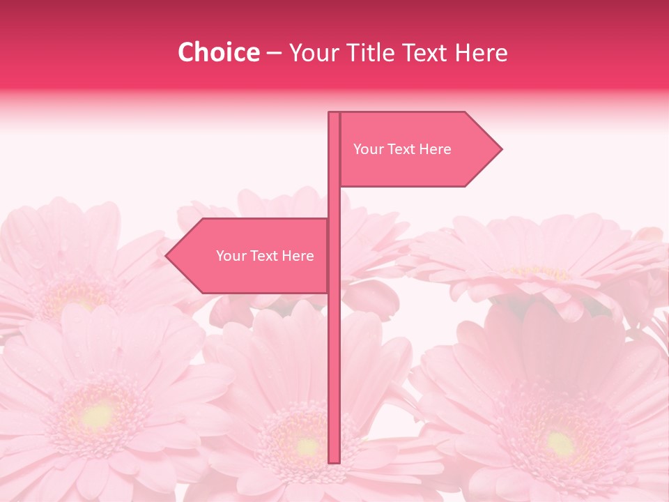 Frau Heirat Geschenke PowerPoint Template