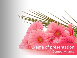 Geschenke Heirat Geburtstag PowerPoint Template