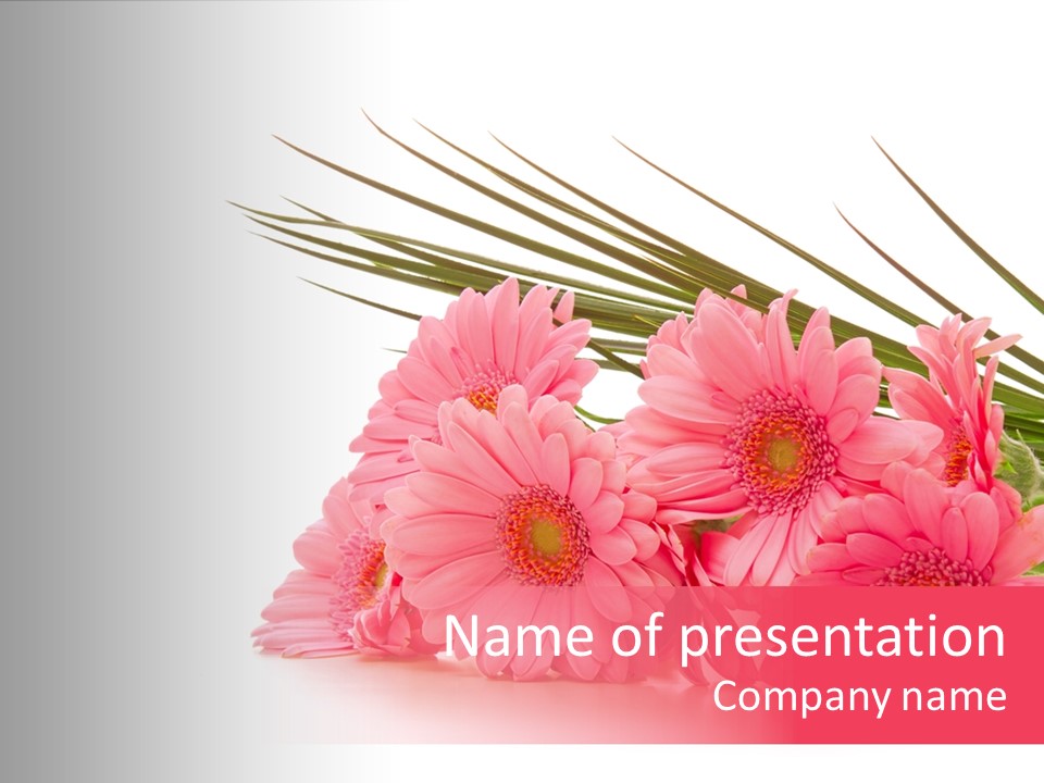 Geschenke Heirat Geburtstag PowerPoint Template