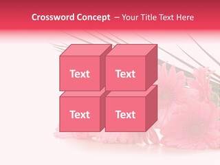 Geschenke Heirat Geburtstag PowerPoint Template