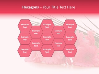Geschenke Heirat Geburtstag PowerPoint Template