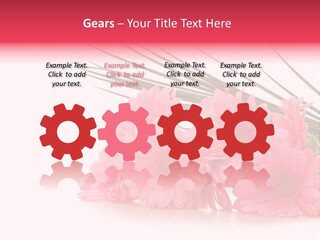Geschenke Heirat Geburtstag PowerPoint Template