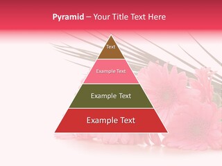 Geschenke Heirat Geburtstag PowerPoint Template