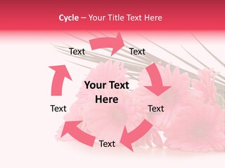 Geschenke Heirat Geburtstag PowerPoint Template