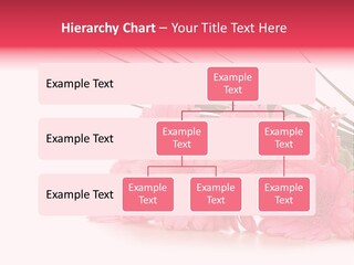 Geschenke Heirat Geburtstag PowerPoint Template