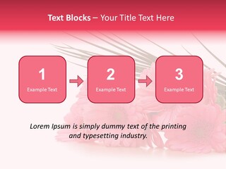 Geschenke Heirat Geburtstag PowerPoint Template