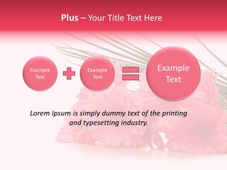 Geschenke Heirat Geburtstag PowerPoint Template