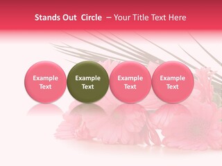 Geschenke Heirat Geburtstag PowerPoint Template