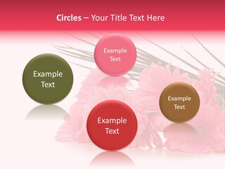 Geschenke Heirat Geburtstag PowerPoint Template