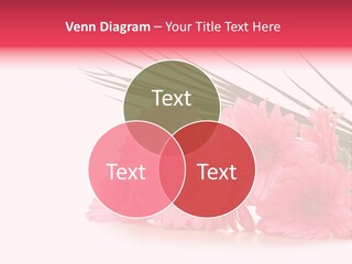 Geschenke Heirat Geburtstag PowerPoint Template