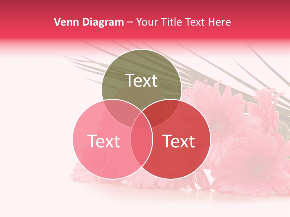 Geschenke Heirat Geburtstag PowerPoint Template