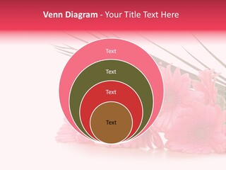 Geschenke Heirat Geburtstag PowerPoint Template