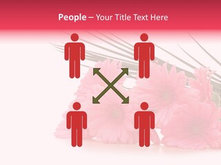 Geschenke Heirat Geburtstag PowerPoint Template