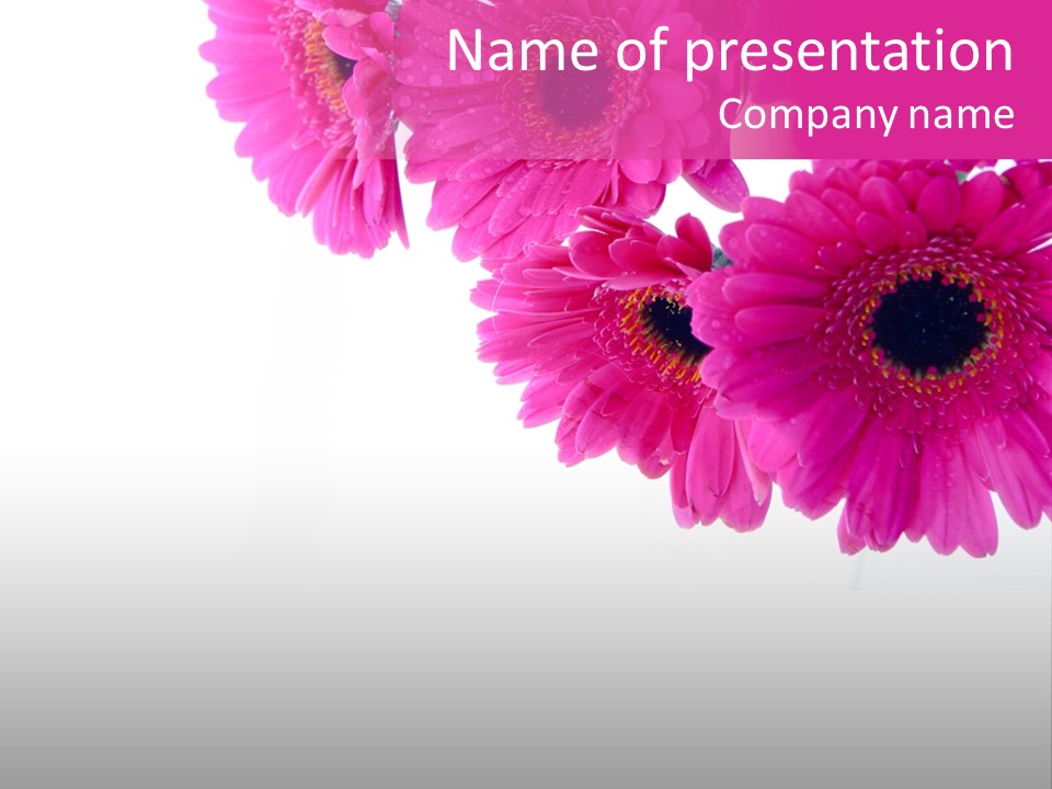 Geschenk Rosa Gartenarbeit PowerPoint Template