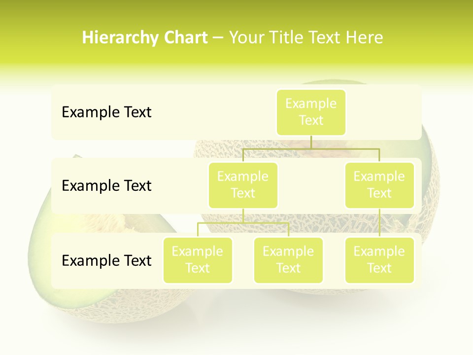 Healthy Ripe Cantaloupe PowerPoint Template