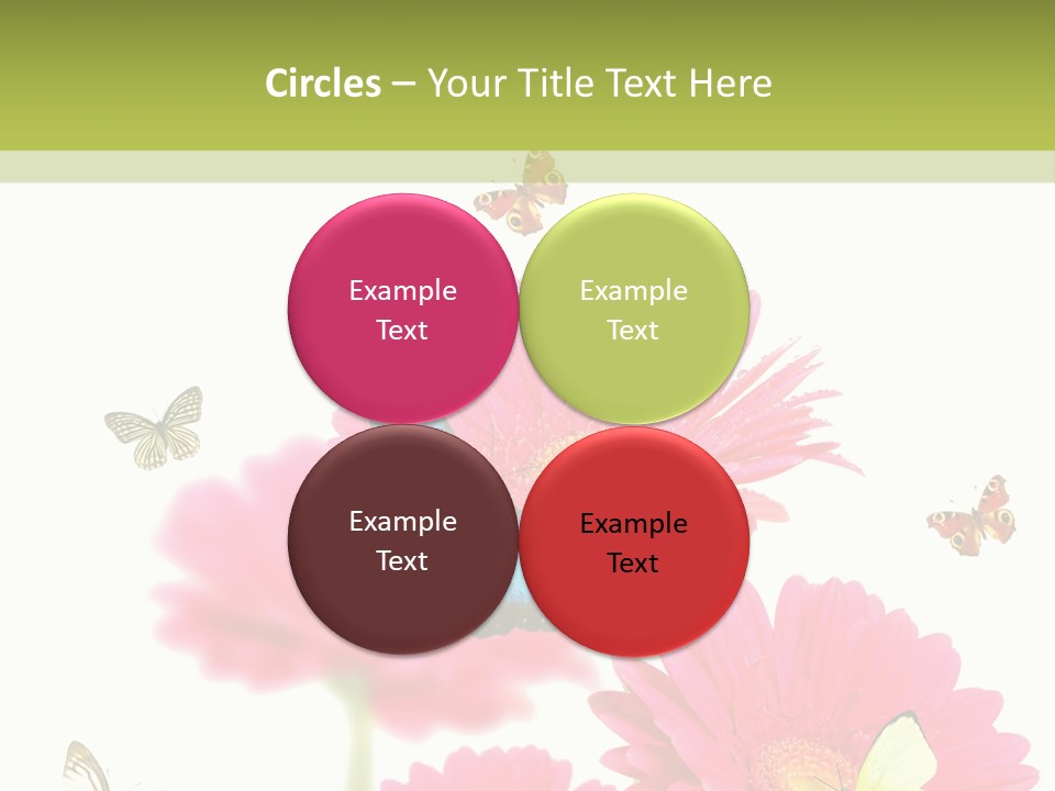 Gerber Flower Garden PowerPoint Template