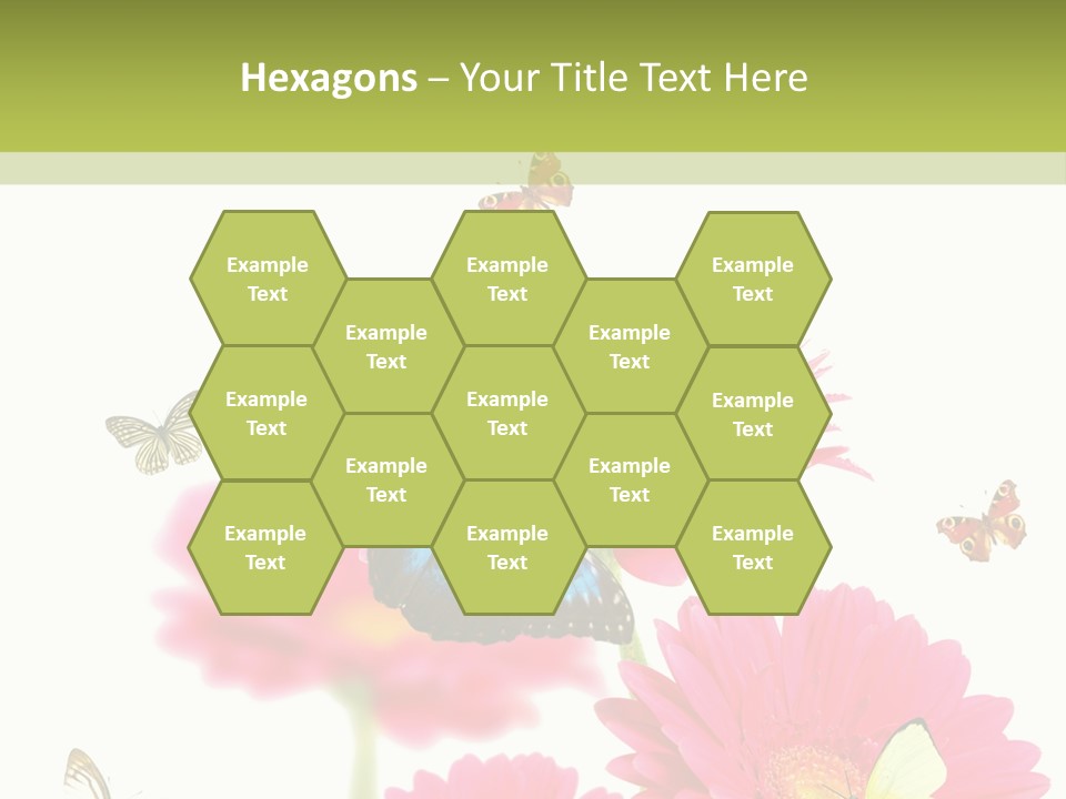 Gerber Flower Garden PowerPoint Template