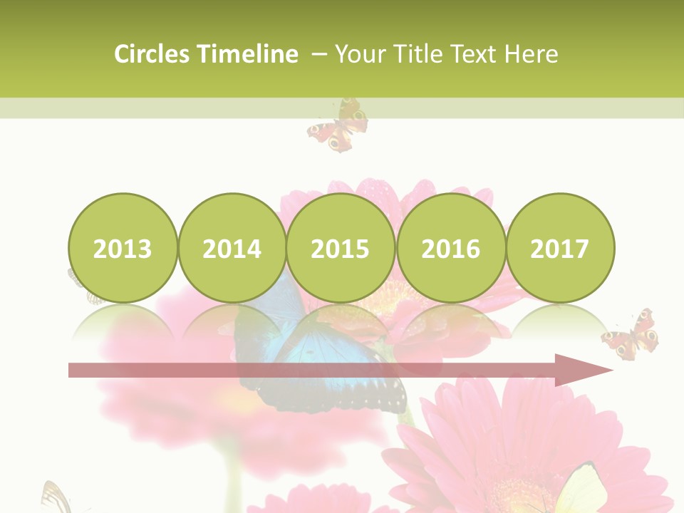 Gerber Flower Garden PowerPoint Template