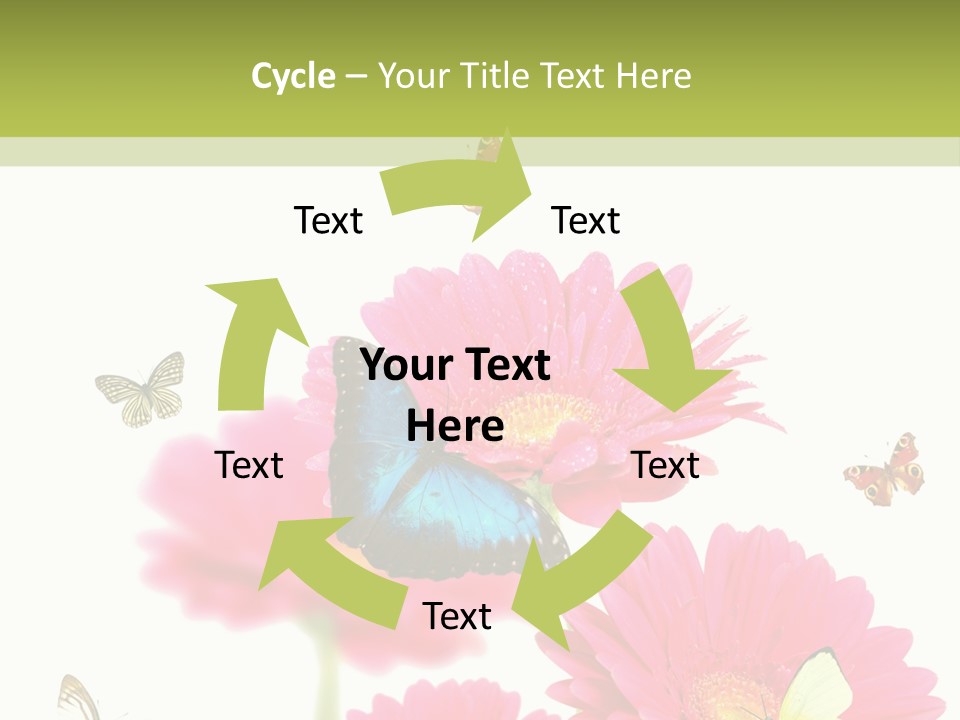 Gerber Flower Garden PowerPoint Template