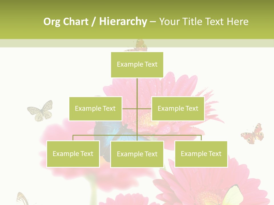Gerber Flower Garden PowerPoint Template