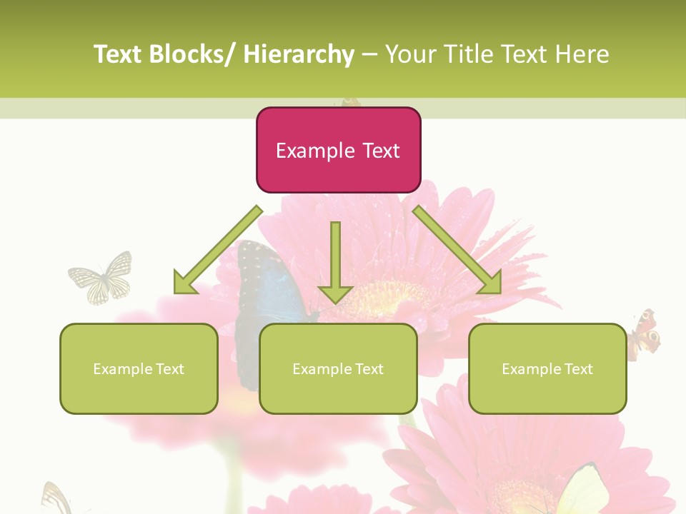 Gerber Flower Garden PowerPoint Template